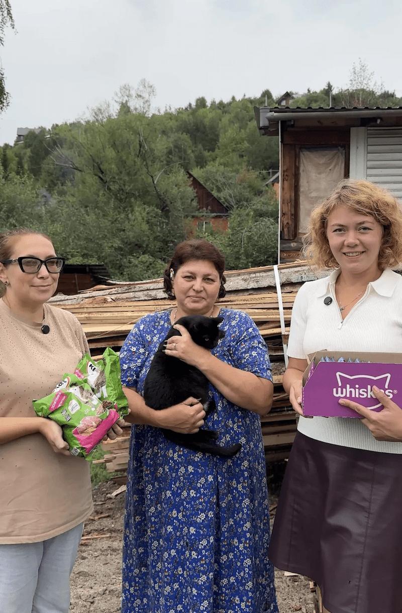 Помогаем «Котопсу»